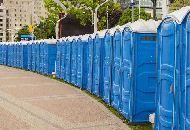 a line of portable restrooms at an outdoor wedding, catering to guests with style and comfort in Coldwater